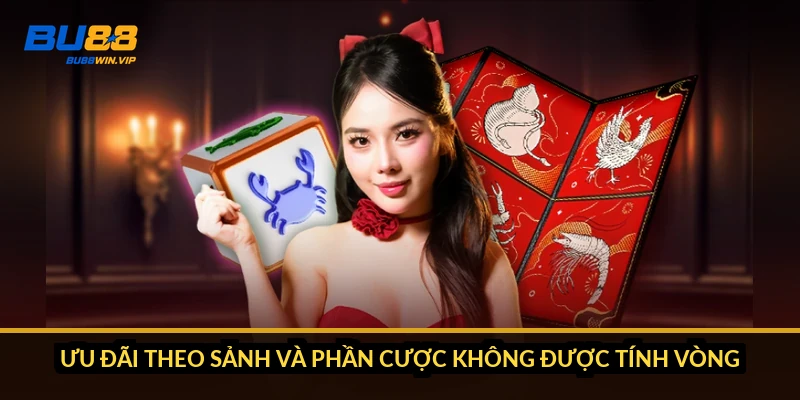 Ưu đãi theo sảnh và phần cược không được tính vòng
